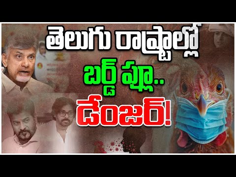 Bird Flu Effect in Telugu States