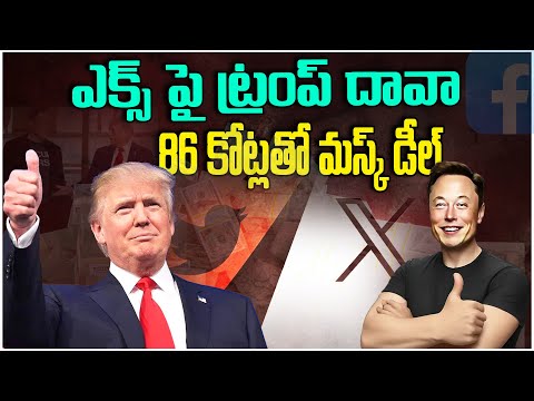 x deal donald trump and elonmusk